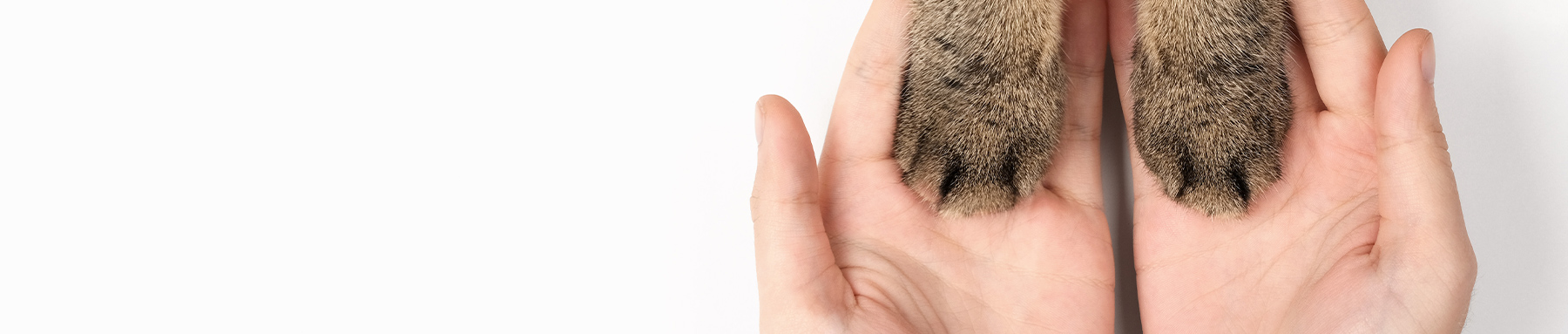 プライバシーポリシー