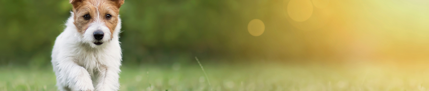 ご相談メニュー